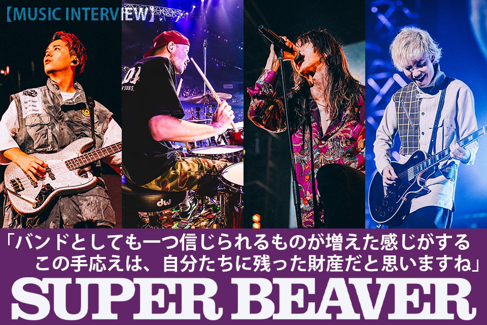 驚きの値段】 SUPER BEAVER LIVE DVD Blu-ray 4本セット www.hallo.tv