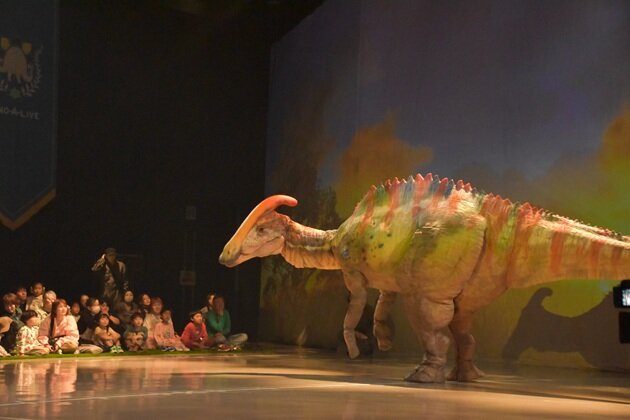 dinosafari2026_gene_sub3.jpg