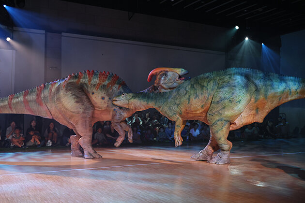 dinosafari260807-1.jpg