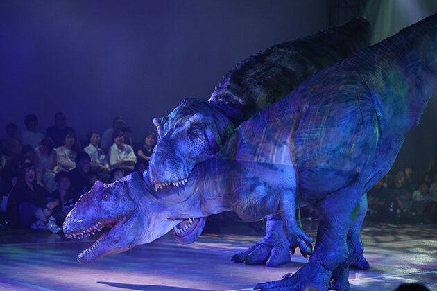 dinosafari260807-5.jpg