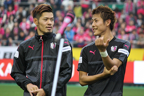 cerezo1611-1.jpg