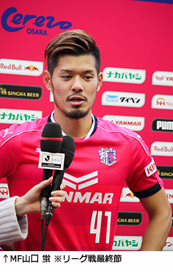 cerezo1611-3.jpg