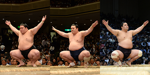 sumo2017-1.jpg