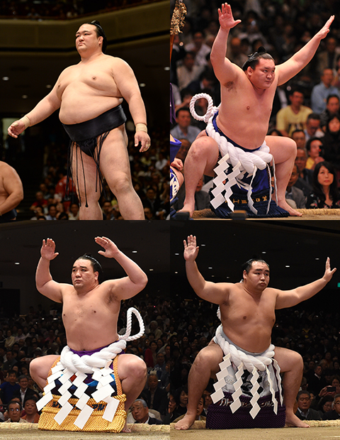 sumo2017-2.jpg