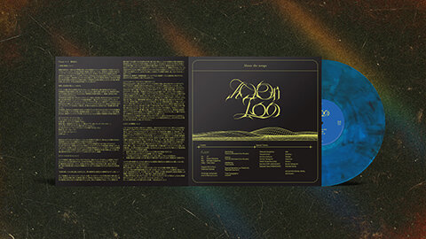 480Vinyl-Mockup-2.jpg