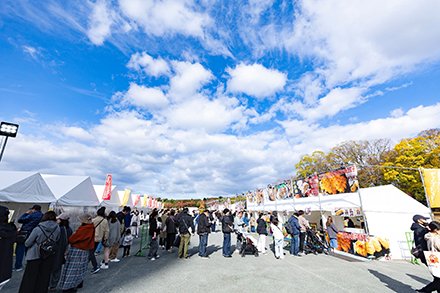 banpakuhanabi250713-3.jpg